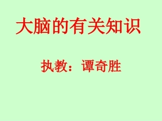 五年级科学《大脑》课件PPT