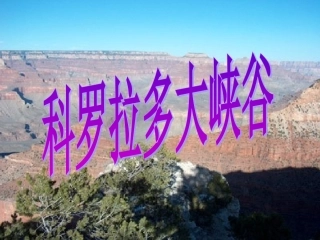 科罗多拉多大峡谷 (2)