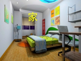 《家》教学课件
