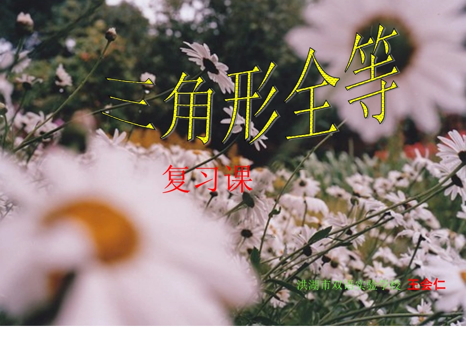 三角形全等复习课B_第1页