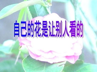 自己的花是让别人看的(1)