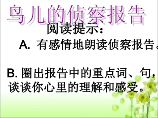 《鸟儿的侦察报告》教学课件1