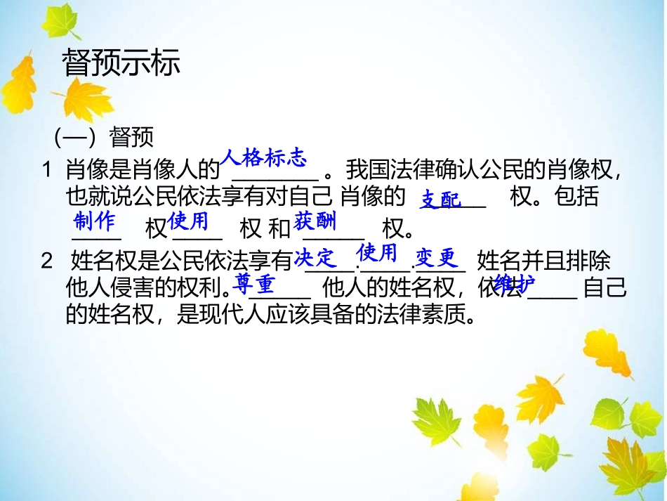 八下第四课第二框肖像和姓名中的权利_第3页