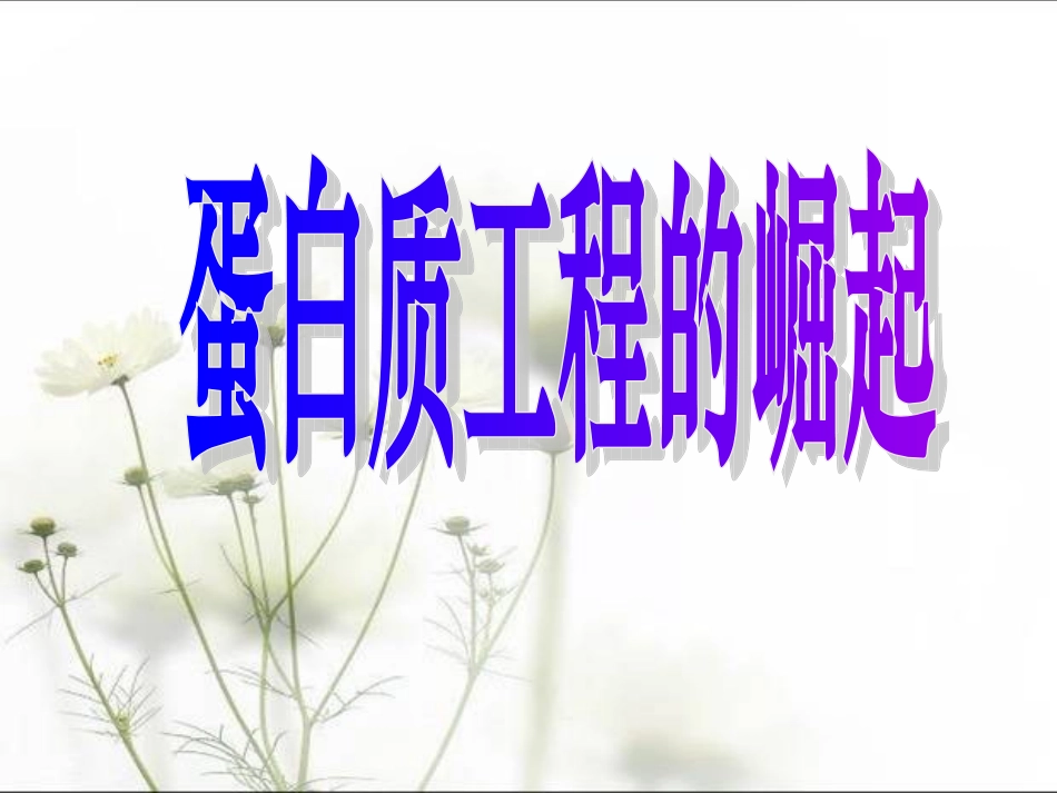 蛋白质工程的崛起_第1页