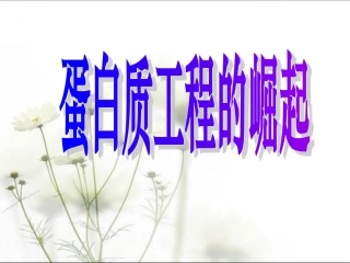 蛋白质工程的崛起