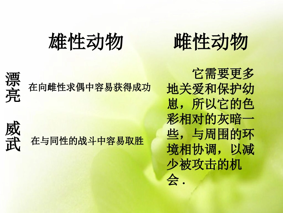 动物是怎样繁殖后代_第2页