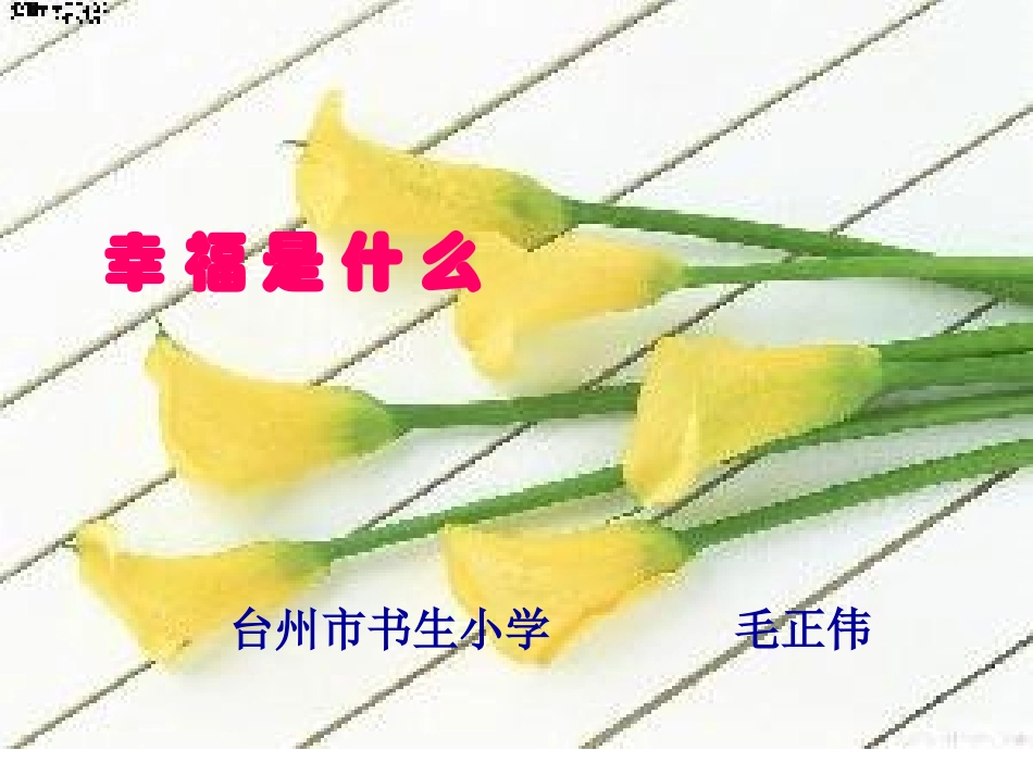 《幸福是什么》课件10_第1页