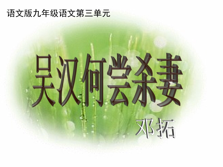 吴汉何尝杀妻 (2)_第1页