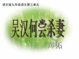 吴汉何尝杀妻 (2)