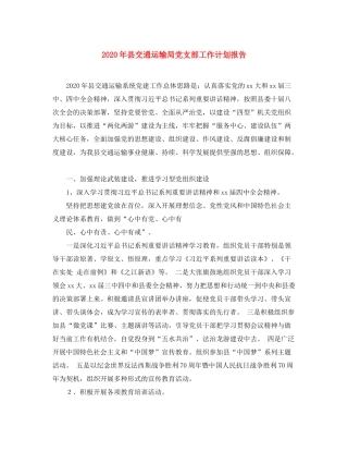 2020年县交通运输局党支部工作计划报告