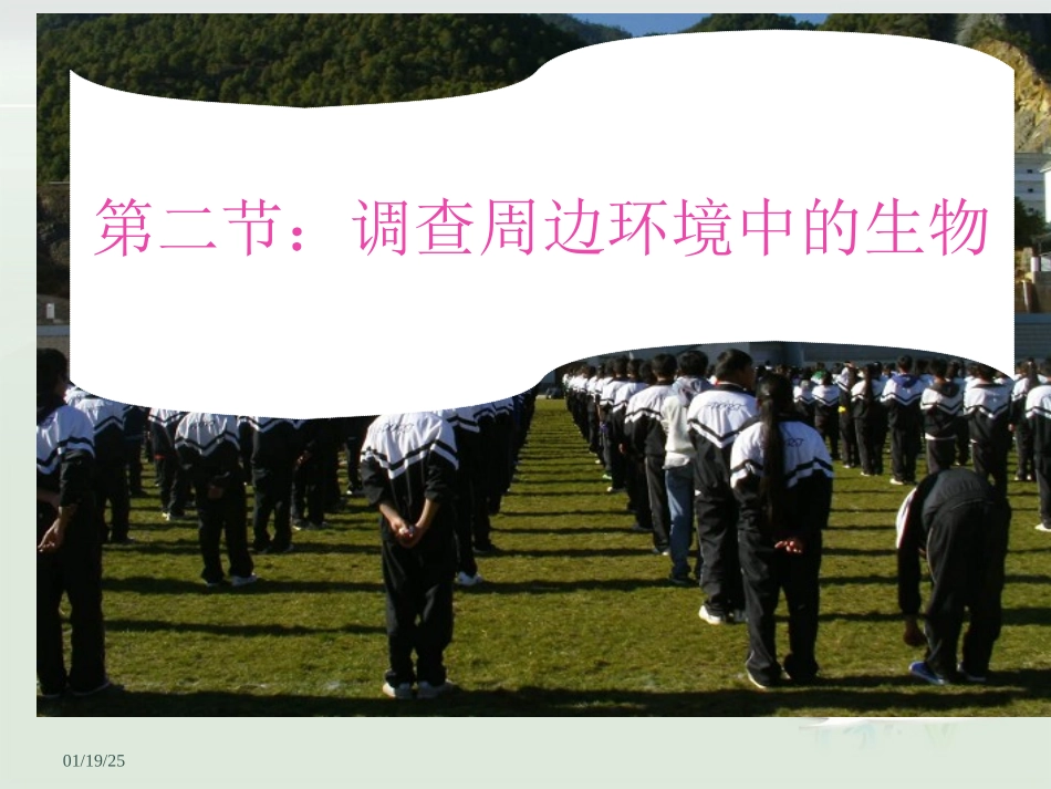 初一1-2调查周边环境中的生物_第2页