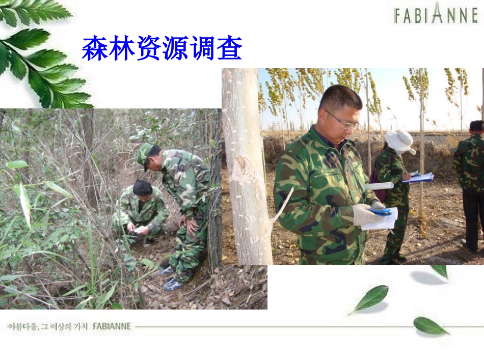 初一1-2调查周边环境中的生物_第3页