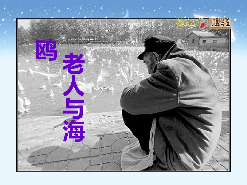 《老人与海鸥》教学课件1_第1页