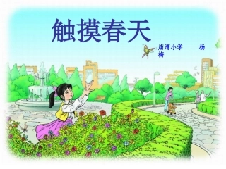触摸春天(校公开课)—杨梅