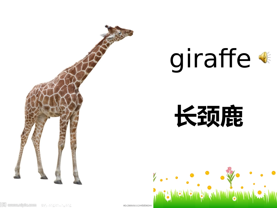 （EEC）三年级英语上册课件+Lesson9+I+Like+Monkeys_第3页