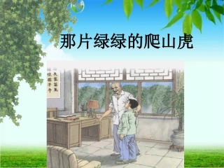 《那片绿绿的爬山虎》课件 (14)