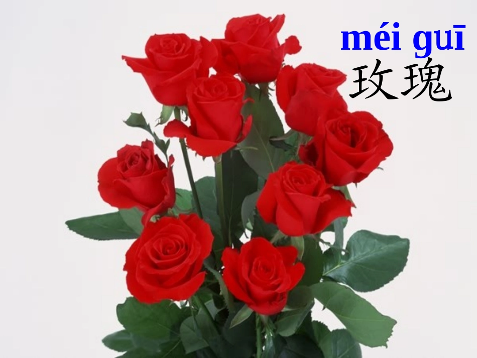 《小鹿的玫瑰花》课件修改版_第1页