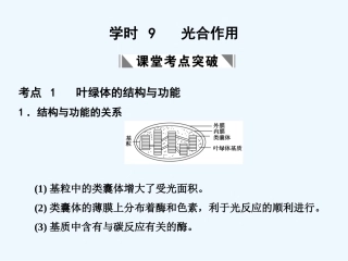【创新设计】2011届高考生物一轮复习 第三单元 学时9 光合作用课件 浙科版必修1