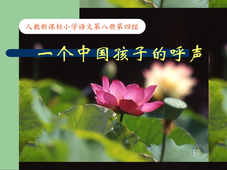 （人教新课标）四年级语文课件一个中国孩子的呼声_第1页