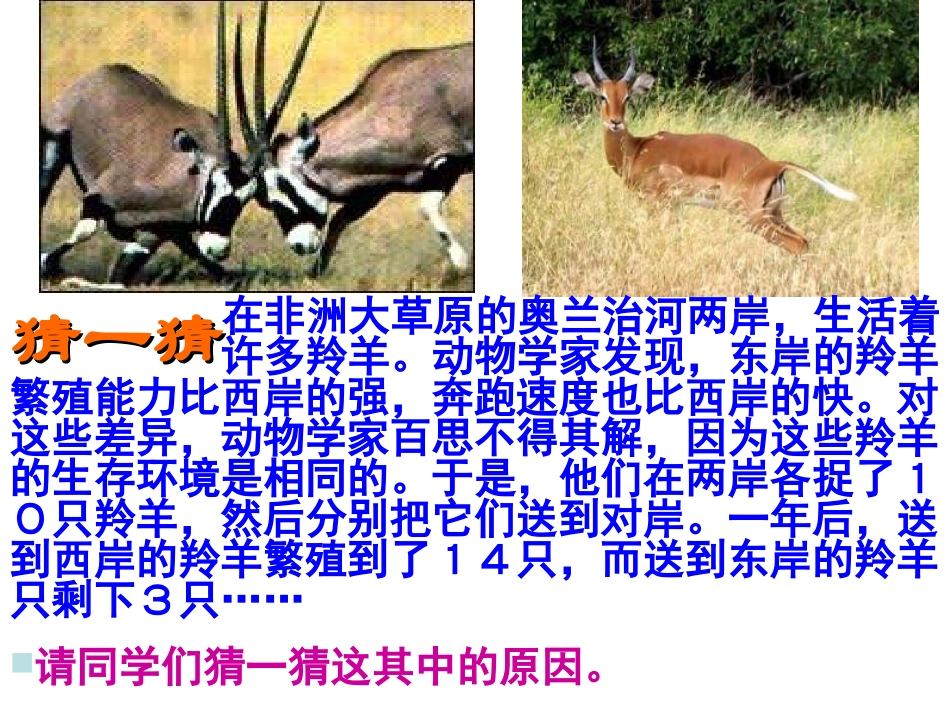 人生自强少年始(_第3页