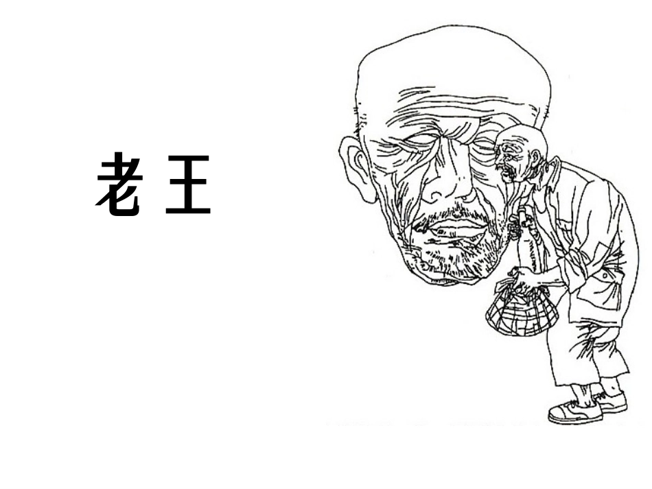 老王 (4)_第1页