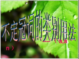 不定冠词用法