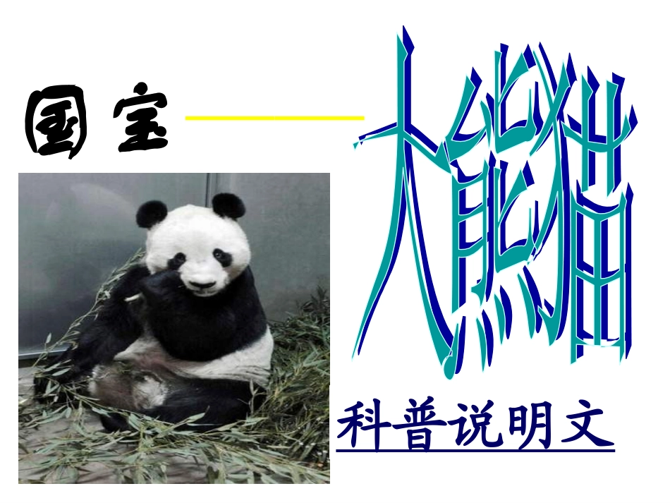 国宝大熊猫_盈_第1页