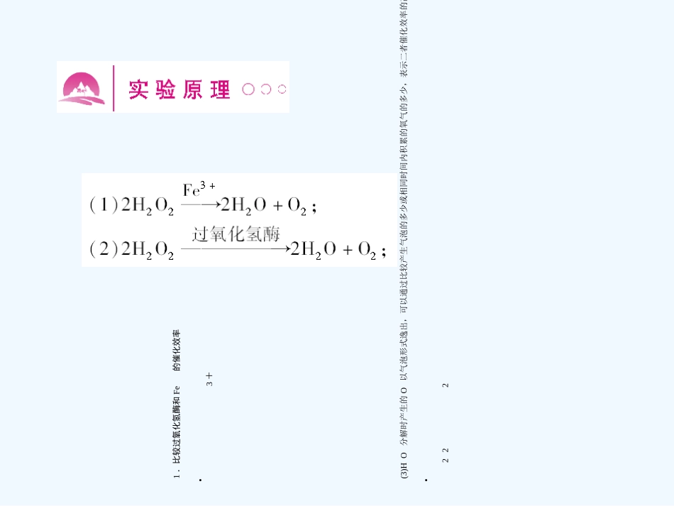 《金版新学案》2011高三生物一轮 实验四、五比较过氧化氢酶和Fe3＋的催化效率探索淀粉酶对淀粉和蔗糖的作用课件 必修3_第2页