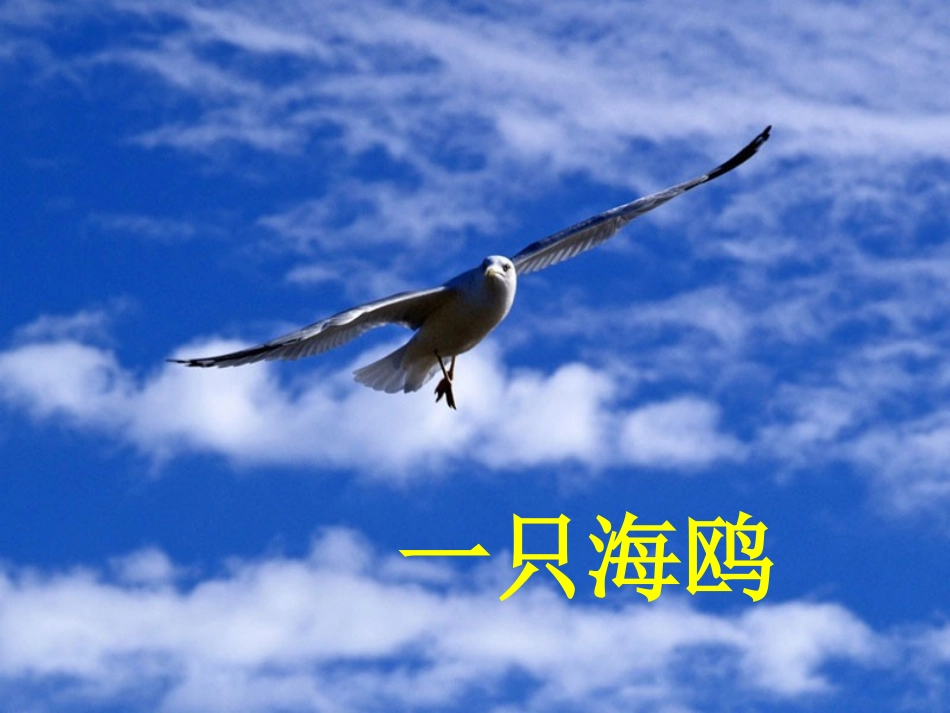 一年级下册识字六_第2页