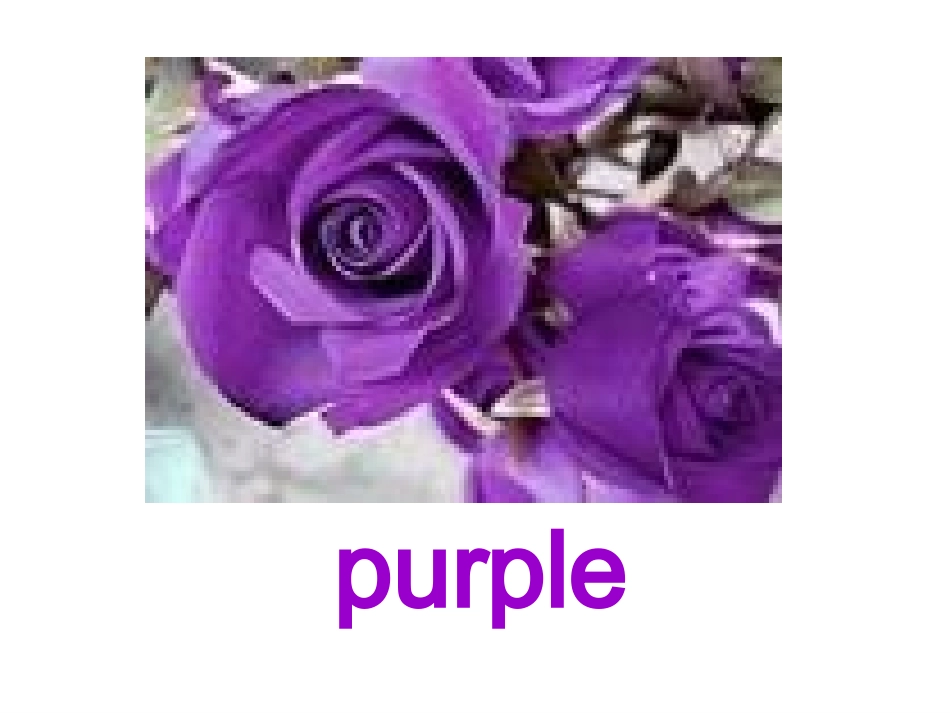 Let’spaint课件_第3页