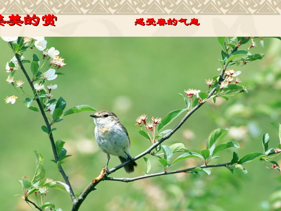 朱自清《春》精品课件_第3页