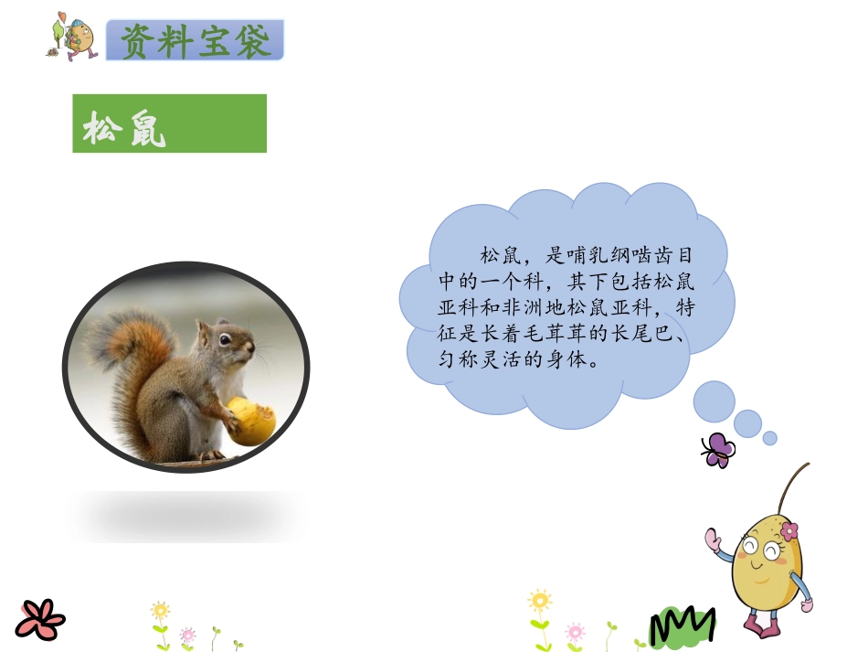 《开满鲜花的小路》第一课时_第3页