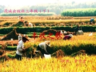 丰收之歌课件