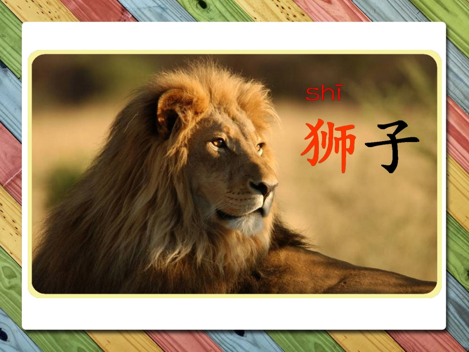 《两只小狮子》课件 (2)_第2页
