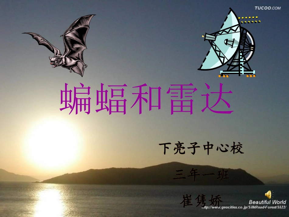 蝙蝠和雷达PPT_第1页