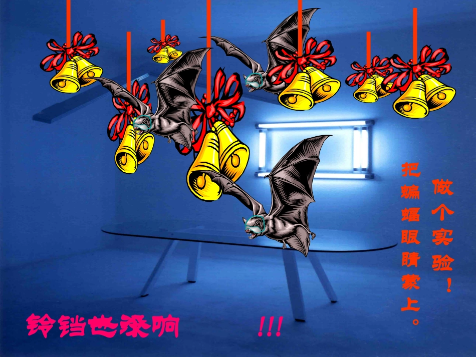 蝙蝠和雷达PPT_第3页