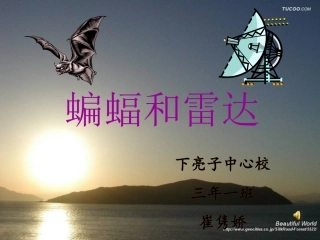 蝙蝠和雷达PPT