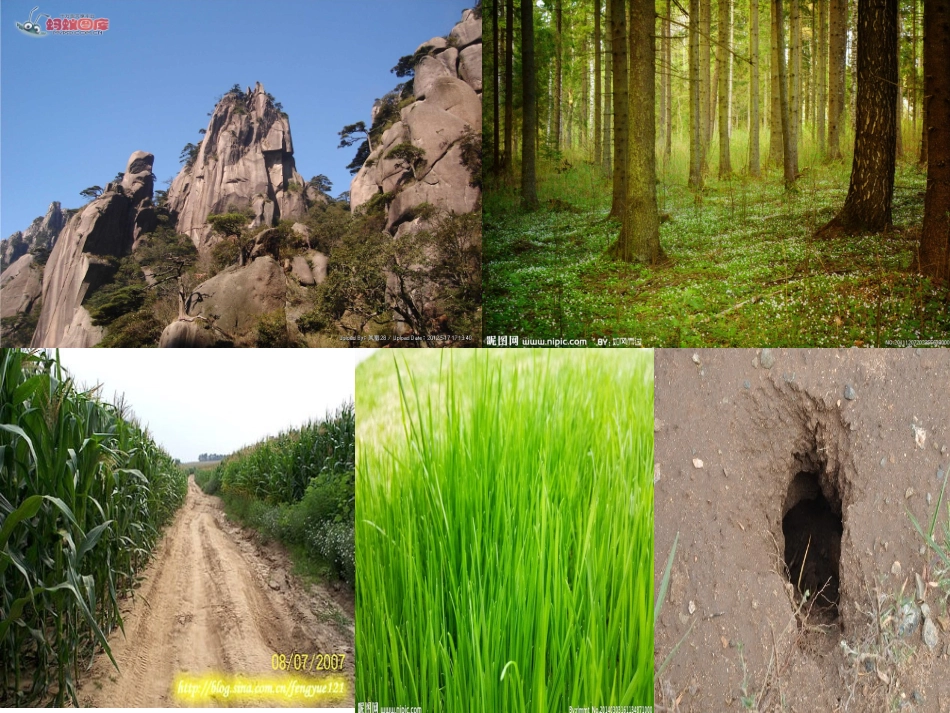 小班语言课《数一数》_第2页