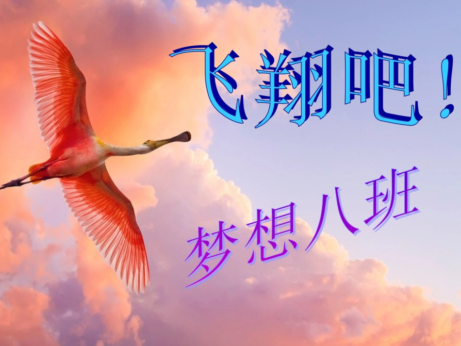飞翔吧！梦想8班_第1页