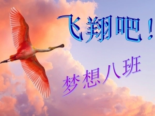 飞翔吧！梦想8班