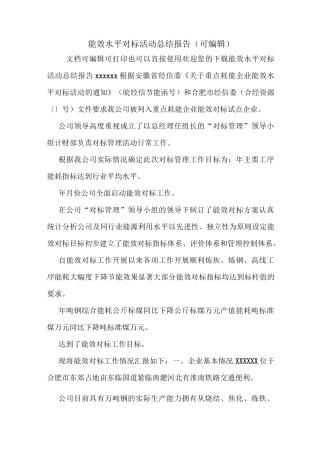 能效水平对标活动总结报告(可编辑)