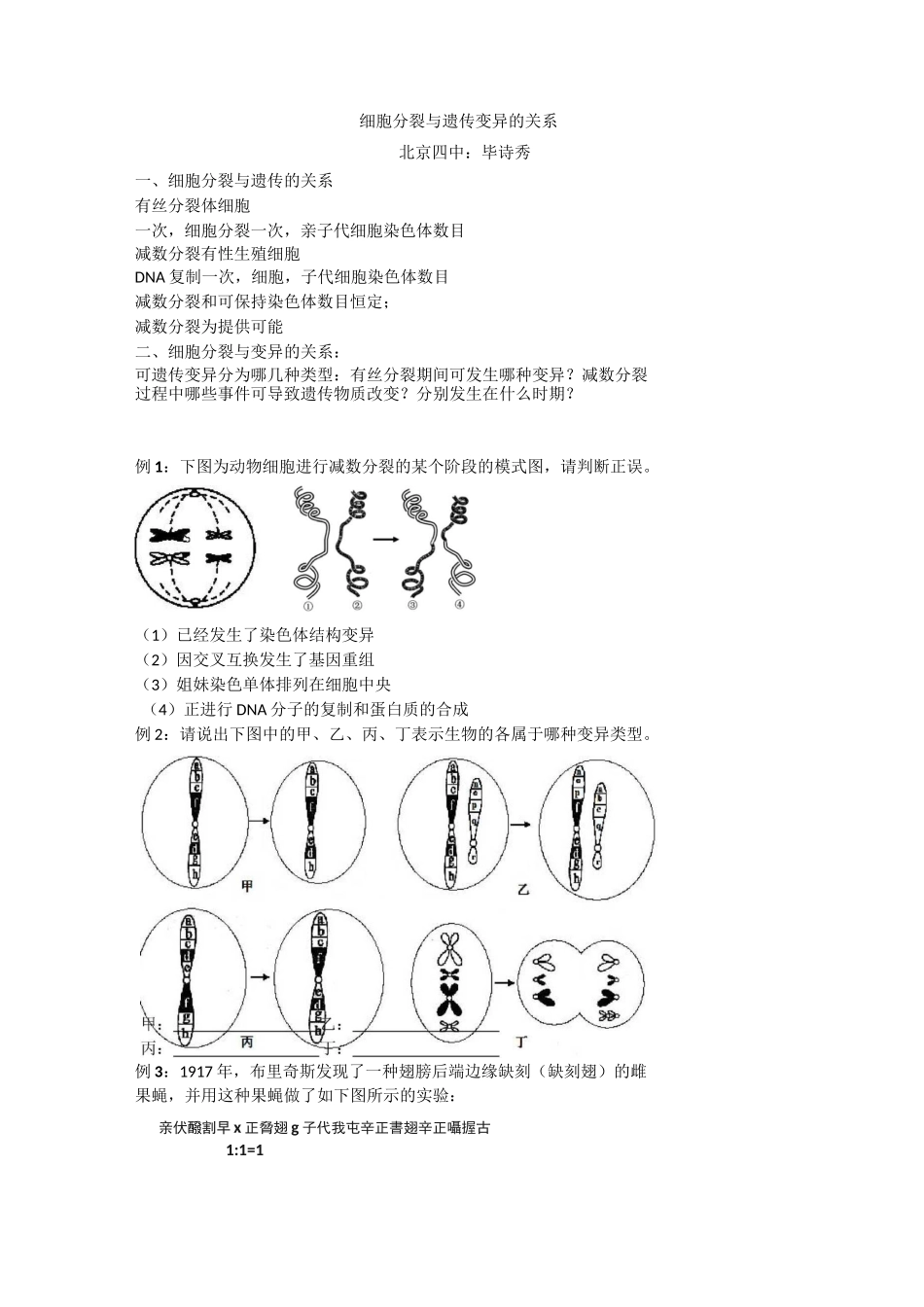 细胞分裂与遗传变异的关系_第1页