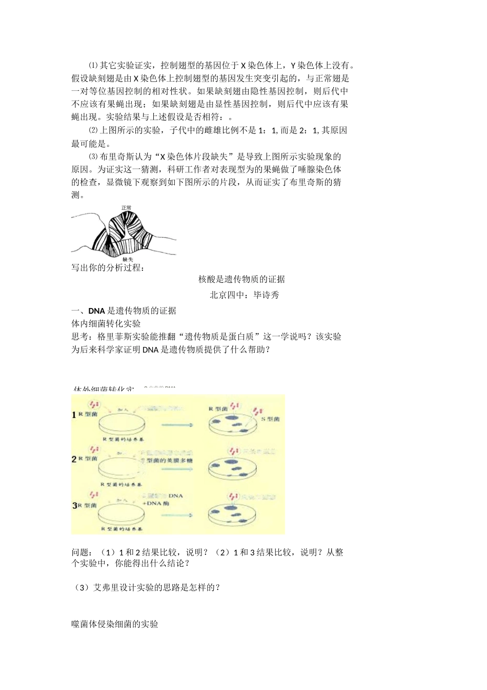 细胞分裂与遗传变异的关系_第2页