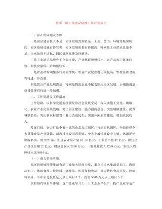 贯实三级干部会议精神工作计划范文