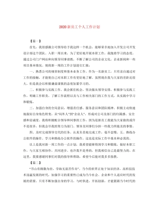 新员工个人工作计划