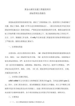 工程项目招标自查自纠报告