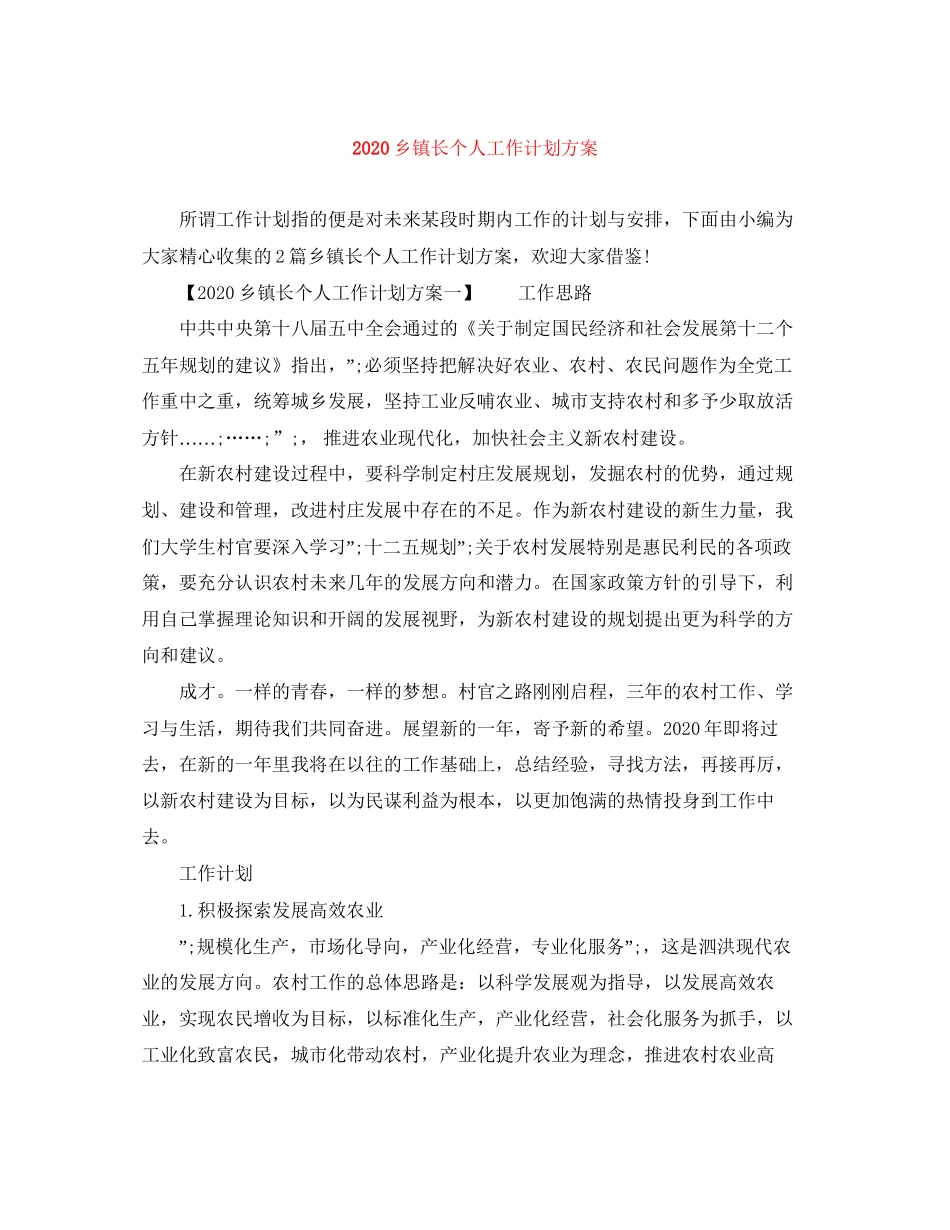 乡镇长个人工作计划方案_第1页