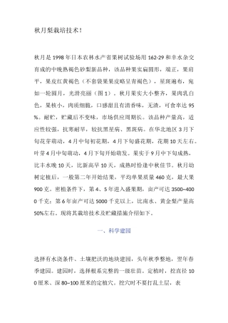 秋月梨栽培技术