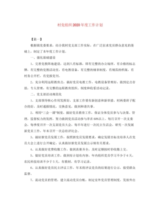 村党组织年度工作计划
