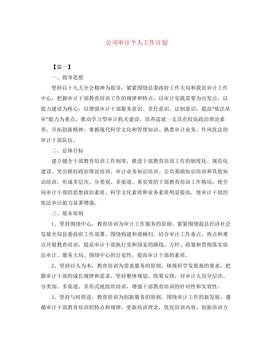 公司审计个人工作计划_第1页